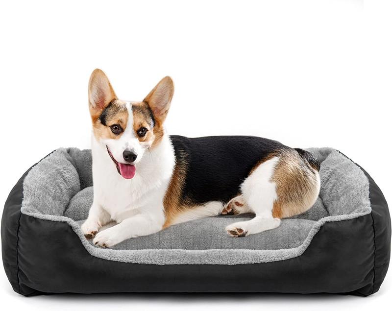 dog bed